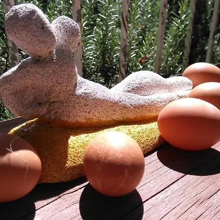 Casale Civetta Bed & Breakfast Trecastelli