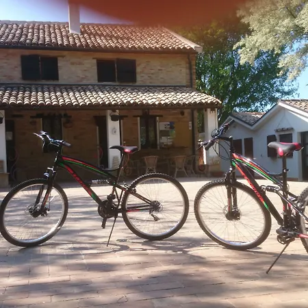 Oda ve Kahvaltı Casale Civetta Trecastelli