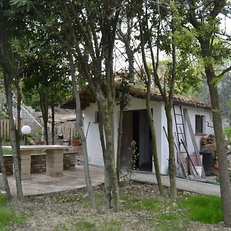 Casale Civetta * Trecastelli