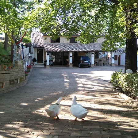 Nocleg ze śniadaniem Casale Civetta Trecastelli