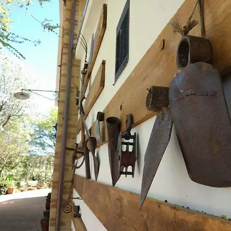 Casale Civetta Oda ve Kahvaltı Trecastelli