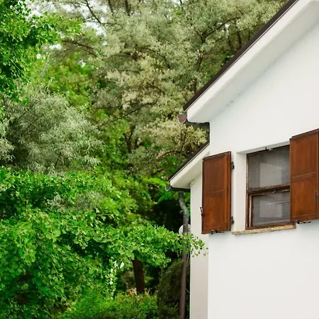 Casale Civetta * Trecastelli