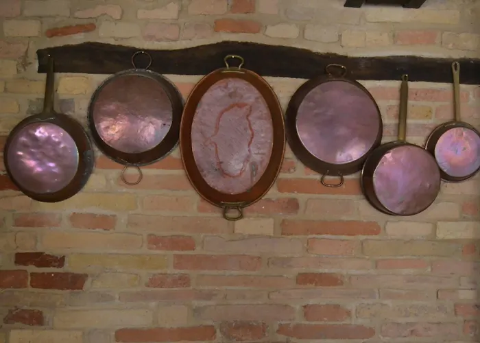 Casale Civetta Trecastelli